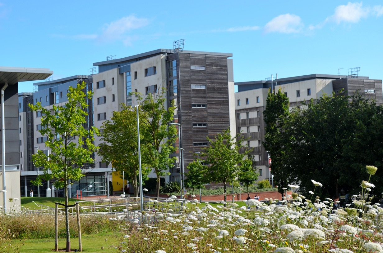 LSC - Language Study Centres / Bristol